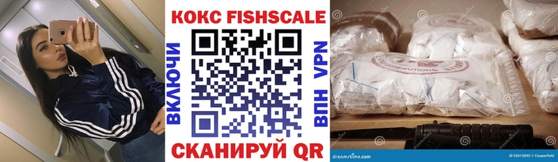 Купить  Элиста  Cocaine FishScale 