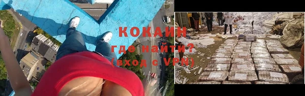 стафф Михайлов