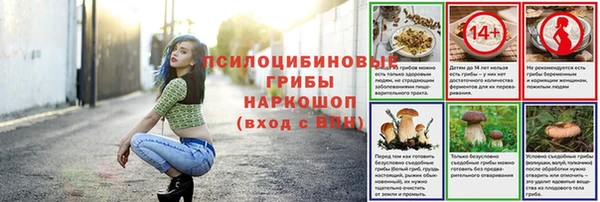 стафф Михайлов