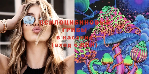 стафф Михайлов