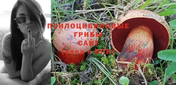 ГАЛЛЮЦИНОГЕННЫЕ ГРИБЫ Михайловка