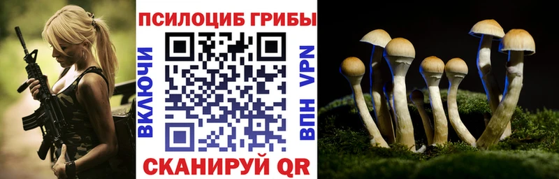 Псилоцибиновые грибы MAGIC MUSHROOMS  Купить  Элиста 